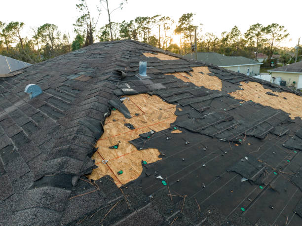 Best Roof Maintenance and Cleaning  in Dahlone, GA