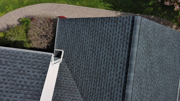 Best Gutter Installation and Repair  in Dahlone, GA
