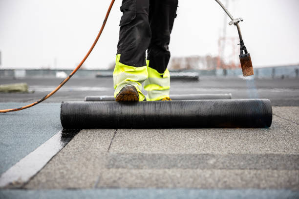 Best Rubber Roofing (EPDM, TPO)  in Dahlone, GA