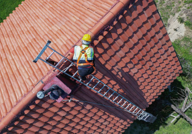 Best Roof Coating and Sealing  in Dahlone, GA