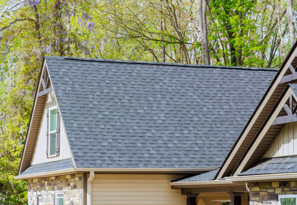 Best Skylight Installation and Repair  in Dahlone, GA
