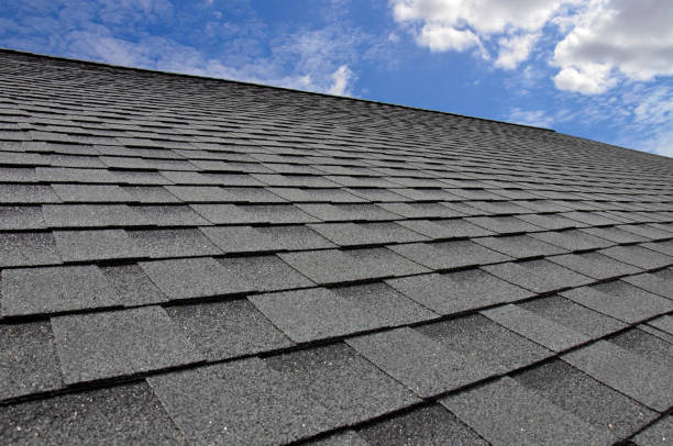Best Rubber Roofing (EPDM, TPO)  in Dahlone, GA